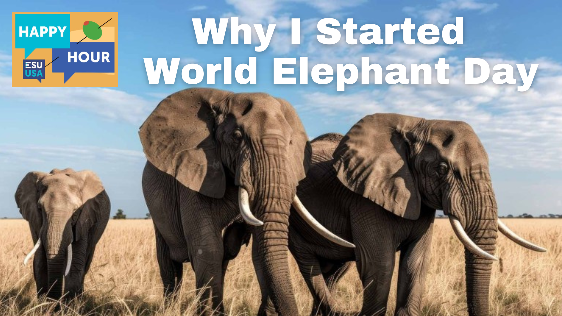 Happy Hour: Why I Started World Elephant Day